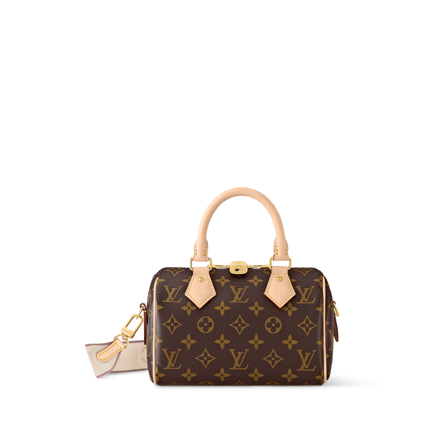 LV Speedy Designer Handbag